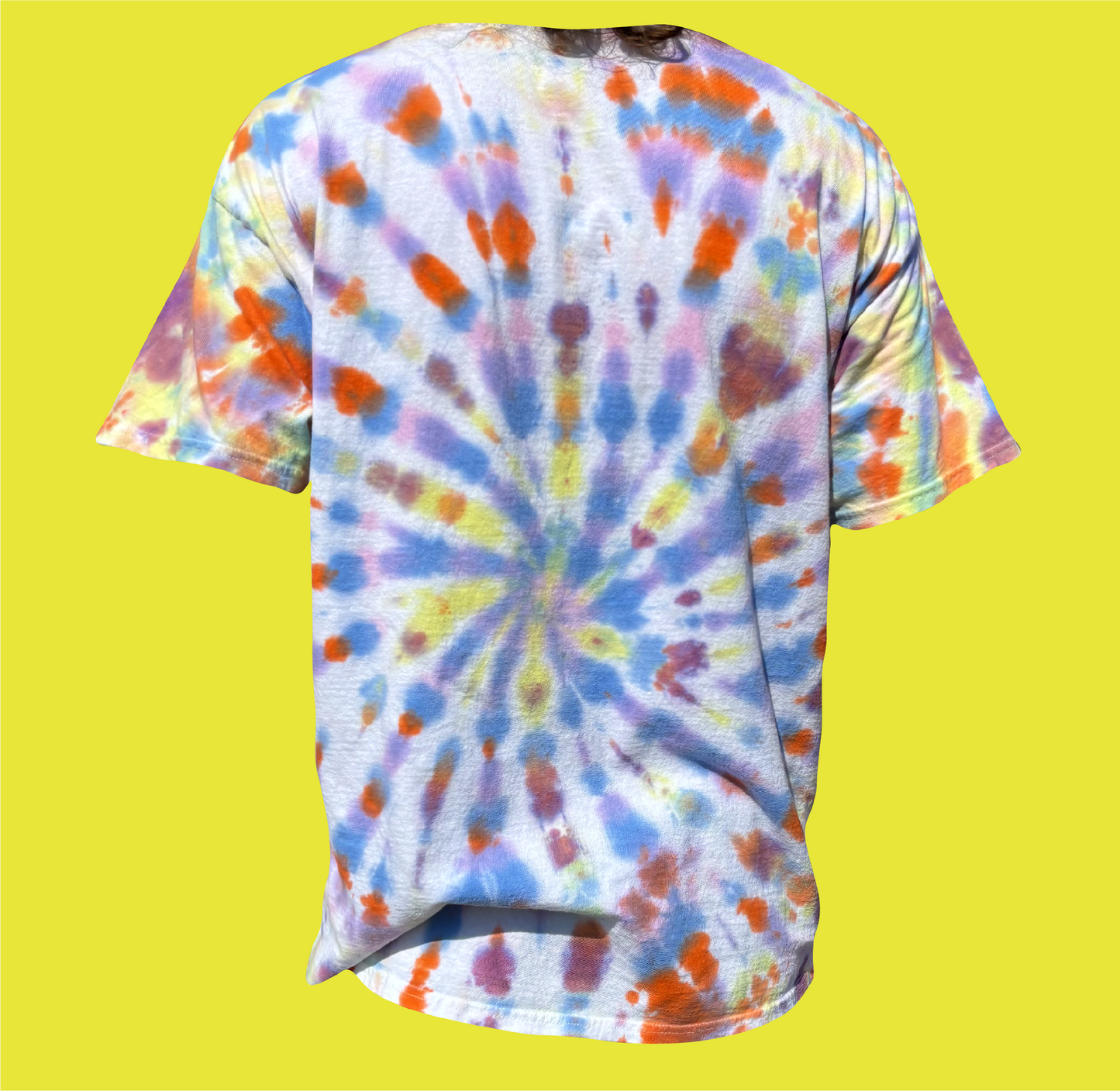Antarctica Conspiracy Theory Shirt