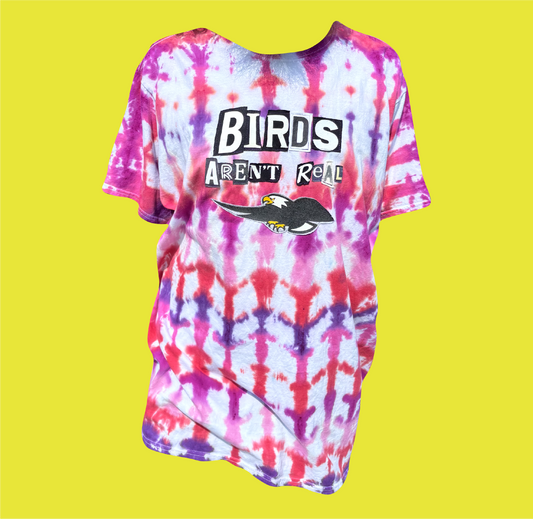 Birds Conspiracy Theory Shirt