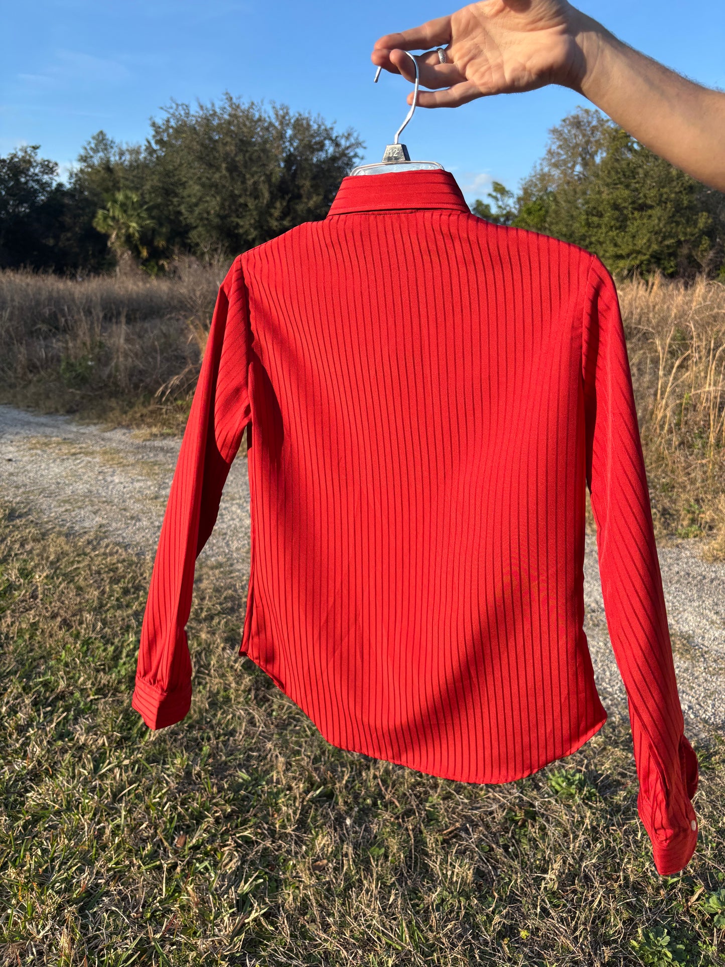 Pinstripe Red Blouse