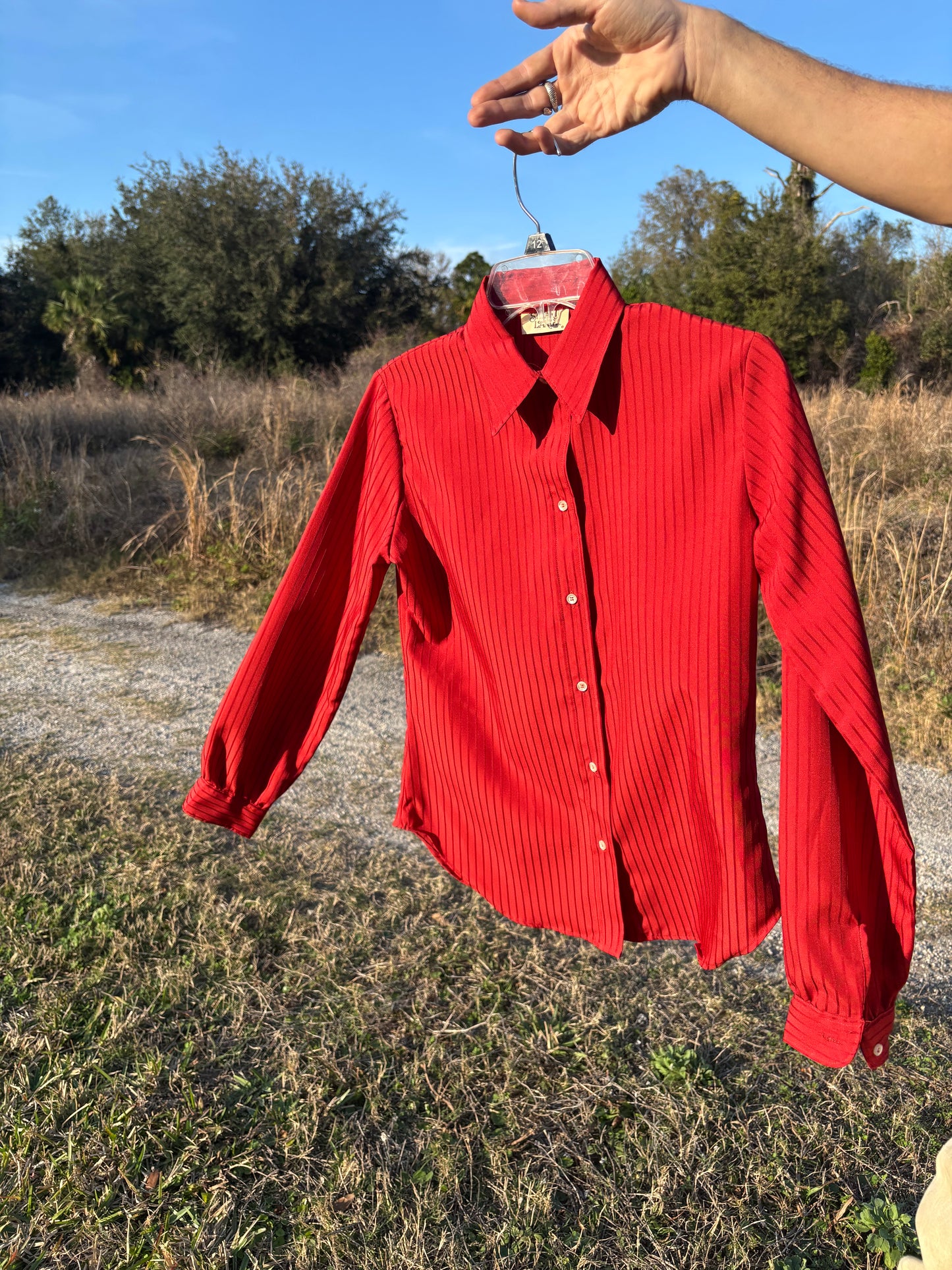 Pinstripe Red Blouse