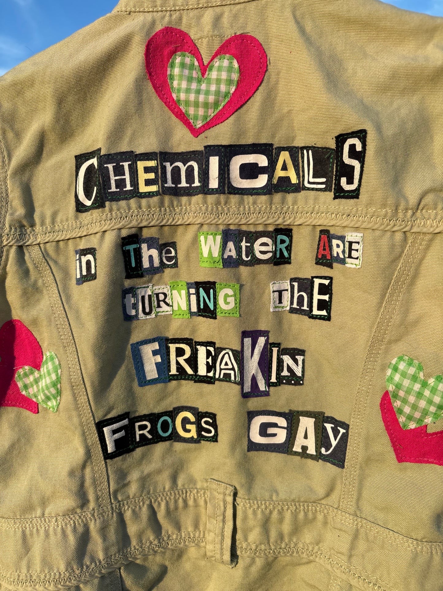 Gay Frogs Vest